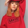 3417936760.png SAVIO college